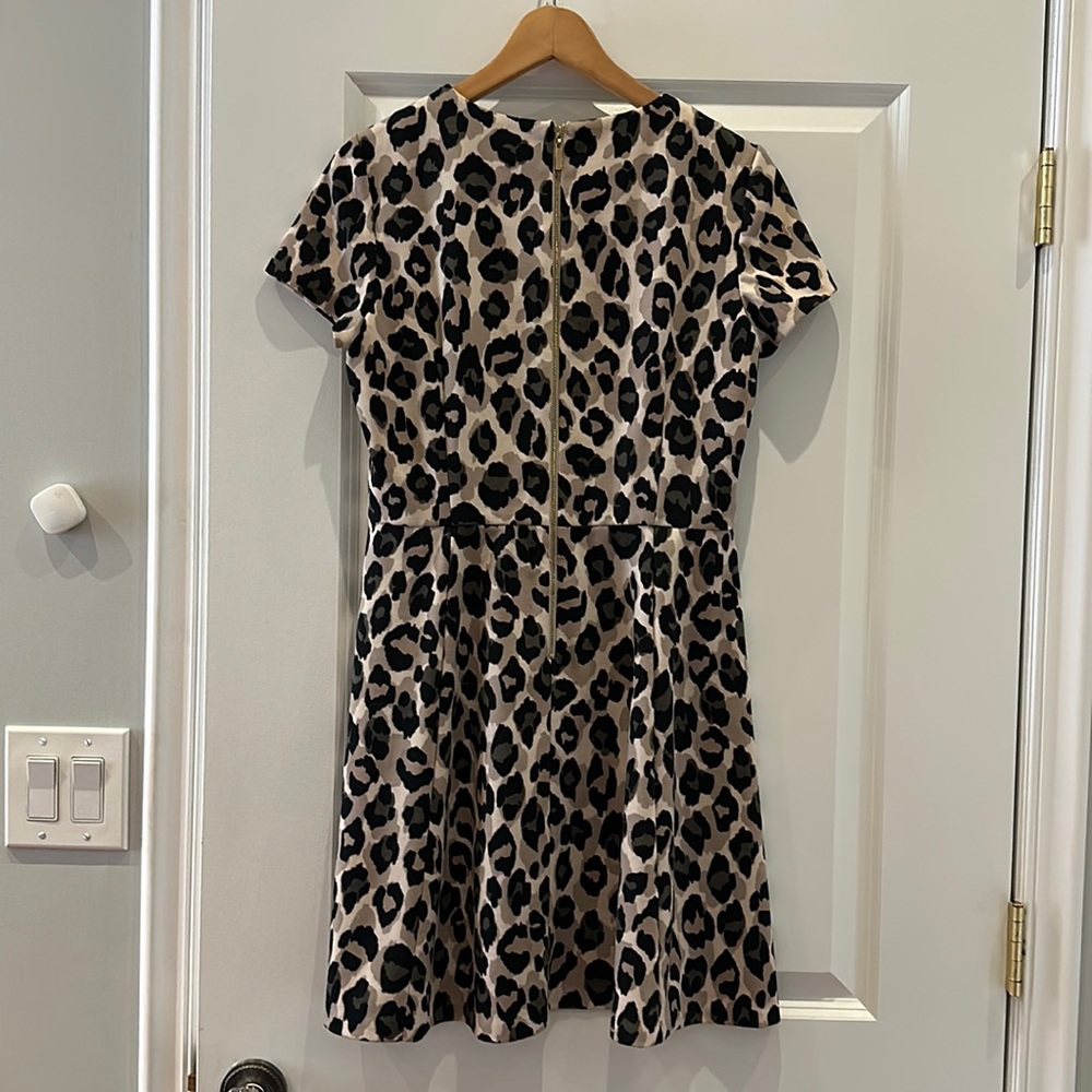 Eliza J Leopard Print A-line Dress, size 10P